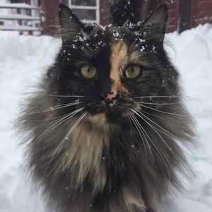 Meet your Posher, Aida